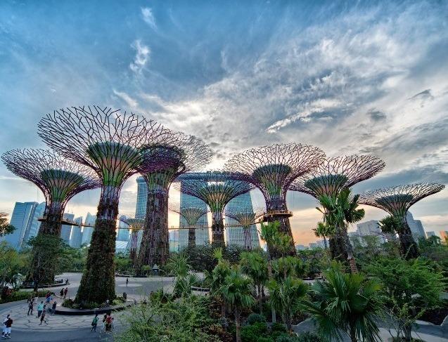 Gardens By The Bay