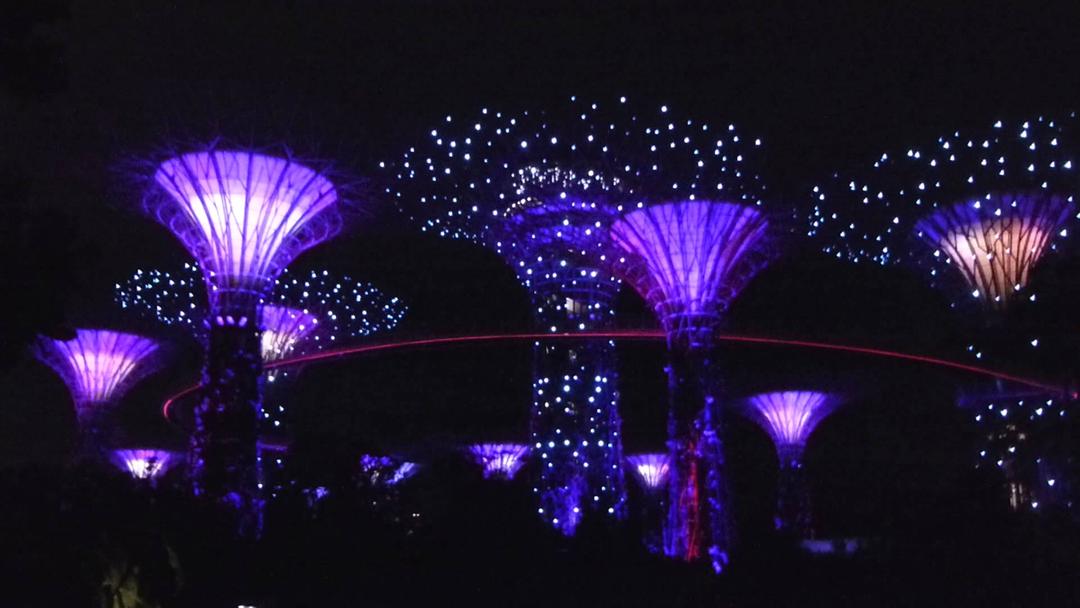 Gardens By The Bay