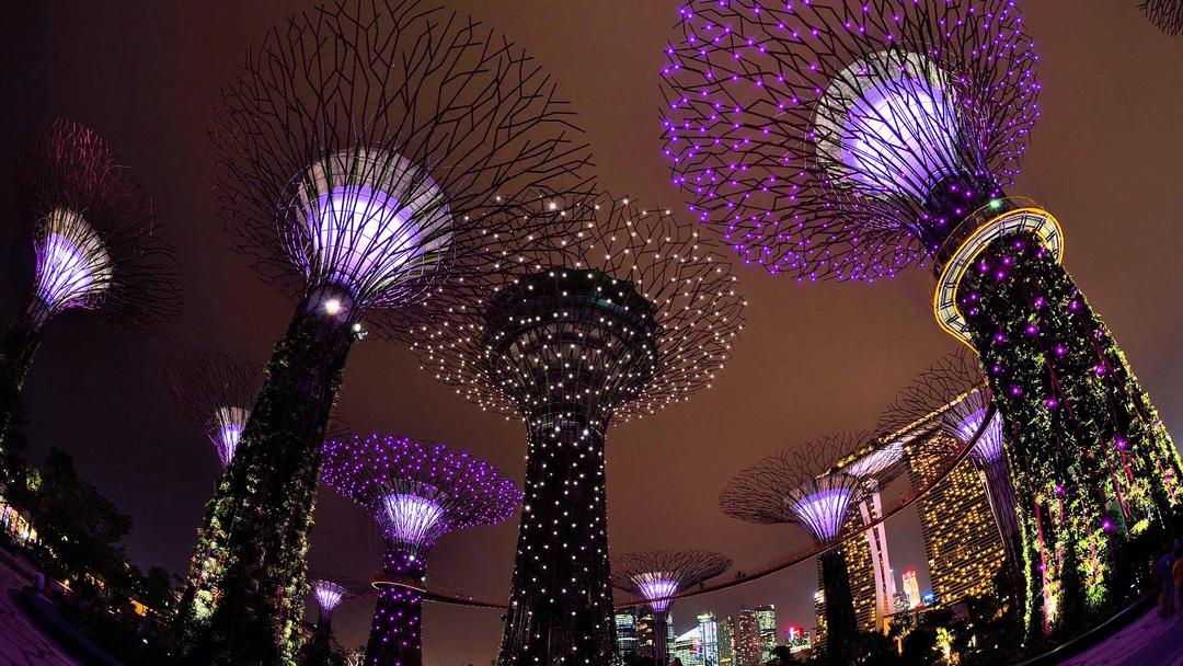 Gardens By The Bay