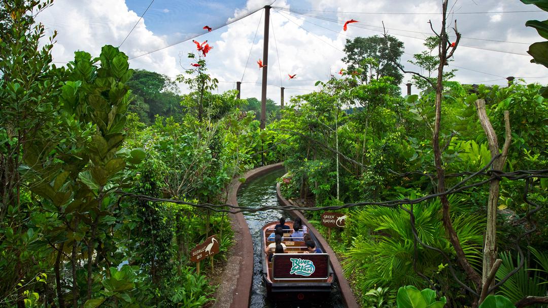 River Safari